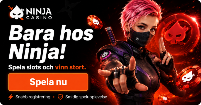 Ninja Casino banner